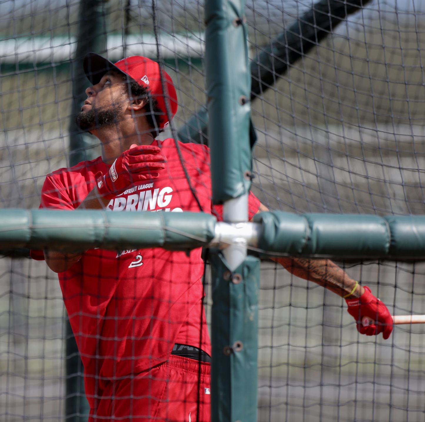 Cardinals spring training